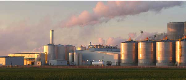Biofuels & Grain Processing
